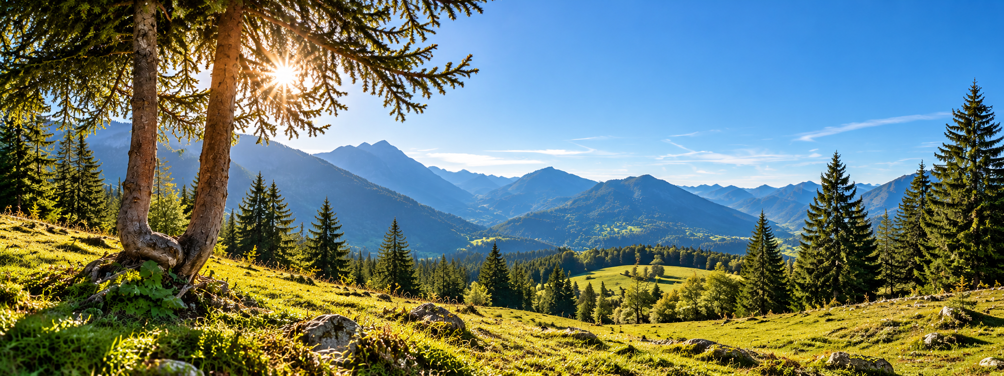 Sonnenstrahlen fallen über einen Waldweg auf einen Bergsee im Nebel